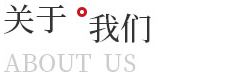 公司简介